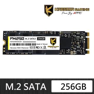 【AITC 艾格】FM250_256GB M.2 SATA SSD TLC 固態硬碟(讀：560M/寫：500M)