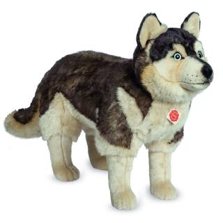 【HERMANN TEDDY】德國赫爾曼泰迪熊超大哈士奇站立