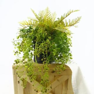 【HUGO DECO 榆果傢飾】波斯頓蕨珍珠藤蔓皮革籃植栽(擬真植栽/多肉植物/節慶送禮)