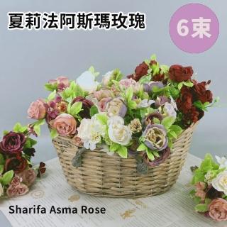 【BonBon naturel】南法田園仿真花束/夏莉法阿斯瑪玫瑰/6束(多種顏色可挑選)