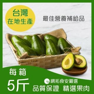 【我是一箱牛油果】台灣麻豆酪梨5台斤(大顆優等)