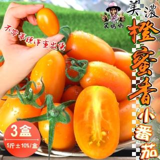 【宋媽媽】高雄美濃超人氣橙蜜香小番茄5斤x3盒(沒有蒂頭方便又美味)