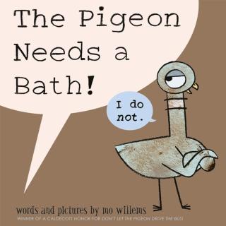 【Song Baby】The Pigeon Needs A Bath! 鴿子要洗澡(平裝繪本)