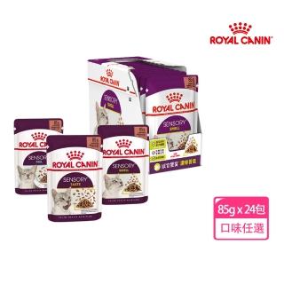 【ROYAL 法國皇家】感官饗宴貓主食濕糧85g*24包(貓主食/貓餐包/貓罐頭)