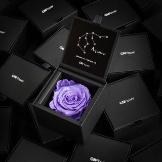 【CNFlower 西恩】星座恆星花-水瓶 Lilac(送禮/買花/恆星花/花禮)