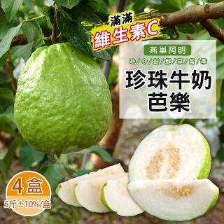 【禾鴻】燕巢阿明珍珠芭樂禮盒5斤8-12顆x4盒(營養豐富維生素C滿滿)