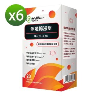 【Wellfour 衛芙生醫】淨孅暢泌塑孅盈6盒組(毛喉鞘蕊花)