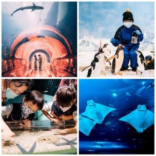 【屏東海洋生物館】9/4限定！海生館 單人券一張-全票(電子券即買即用-TKG)