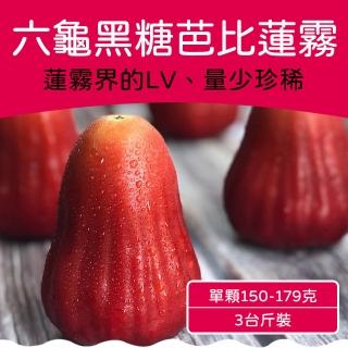 【農頭家】六龜LV級黑糖芭比蓮霧禮盒(大果/3台斤)