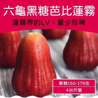 【農頭家】六龜LV級黑糖芭比蓮霧禮盒(大果/5台斤)