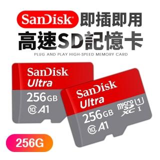 【SanDisk 晟碟】Ultra microSDXC 256G記憶卡(for監視器組合用)