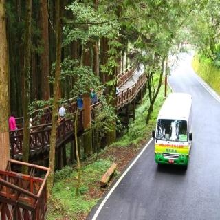 【LION TRAVEL 雄獅旅遊】嘉義-阿里山國家森林遊樂區門票&電動遊園車/沼平或香林線