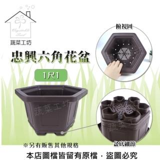 【蔬菜工坊】忠興六角花盆 1尺1(加厚材質)