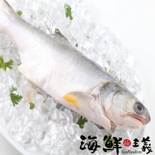 【海鮮主義】肉質鮮嫩午仔魚3包(250g±10%/包)