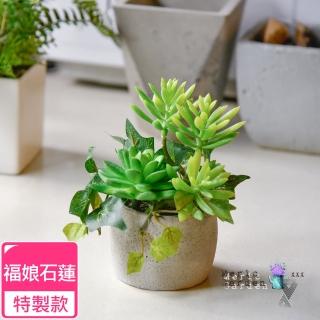 【Meric Garden】高仿真多肉植物療癒手工水泥小盆栽_福娘石蓮特製款