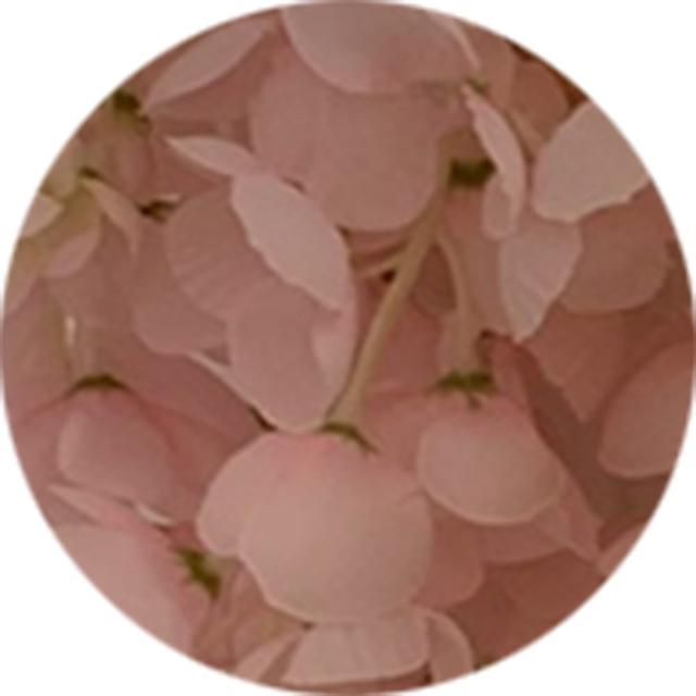 【園藝世界】藤の花-2束(藤花 人造花束)