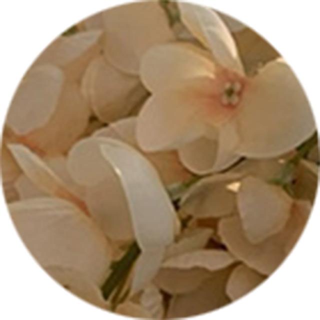 【園藝世界】藤の花-2束(藤花 人造花束)