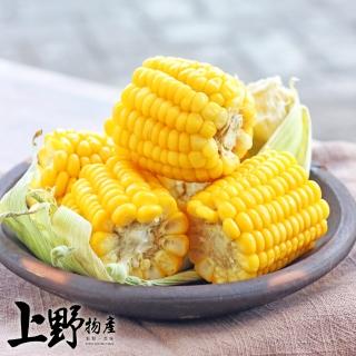 【上野物產】台灣產 冷凍黃金玉米塊 x15包(500g±10%/包)