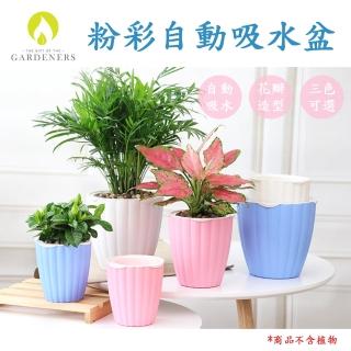 【Gardeners】粉彩自動吸水盆(懶人花盆)