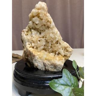 【Cocozy世界水晶原礦】黃菊花晶大牙晶簇(招福擋煞必備)