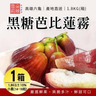 【雪莉朵辣嚴選】黑糖芭比蓮霧 x1箱(小果-1.8kg±10%/盒/約14-16粒)