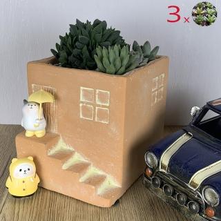 【園藝世界】多肉植物-屋型水泥盆組(多肉植物/水泥造型盆)