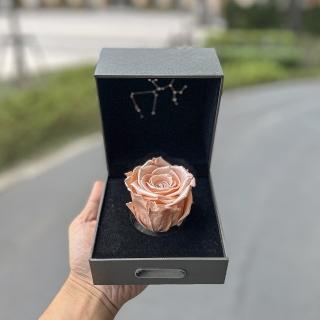 【Flower Plus】Sagittarius射手座 單層永生花星座禮盒(永生花)