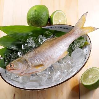 【華得水產】新鮮午仔魚4尾(250-280g/尾)