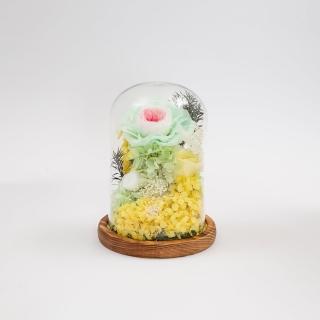 【Flower Plus】黃綠色系 永生花玻璃罩(永生花乾燥花)