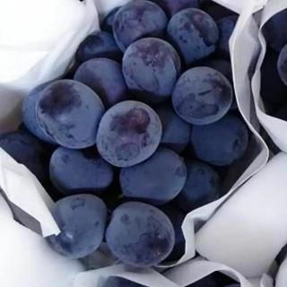 【RealShop 真食材本舖】日本貓眼無籽葡萄禮盒 兩房裝 約1.25kg(高檔水果送禮精品 中秋禮盒)