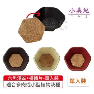 【小美紀】六角淺盆+六角椰纖片-單一入(6寸盆 多肉花盆 園藝花器 室內花盆 椰纖片 多肉植物 小花盆)