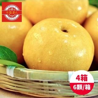 【水果達人-中秋禮盒】苗栗卓蘭爆汁高接梨禮盒6顆*4箱(450g±10%/顆)