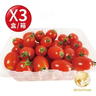【Global Fresh 盛花園】高CP 值 四季水果首選 聖女番茄(600g/盒 3盒/箱)