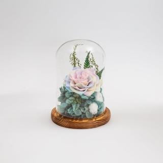 【Flower Plus】渲染叢林｜永生花玻璃罩(永生花乾燥花)