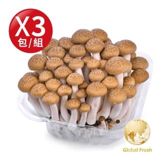 【Global Fresh 盛花園】蟹香風味口感細緻-鴻喜菇(150g/包 3包/組)