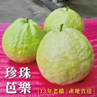 【香芒果鋪】珍珠芭樂 10斤 約13-15顆(13年老欉 新鮮現採)