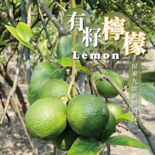 【無毒檸檬】屏東A級檸檬 有籽檸檬 5斤箱裝(產地直銷 現採新鮮出貨)