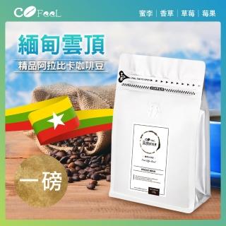 【Cofeel 凱飛】鮮烘豆緬甸雲頂2800米淺中烘焙精品阿拉比卡咖啡豆一磅