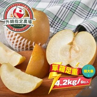 【果樹寶石-中秋禮盒】卓蘭最高鑑賞新興水梨特大果一箱7斤6顆入(外銷指定農場 媲美日本水梨)