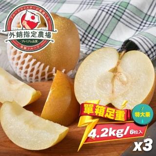 【果樹寶石-中秋禮盒】卓蘭最高鑑賞新興水梨特大果三箱 單箱7斤(外銷指定農場 媲美日本水梨)