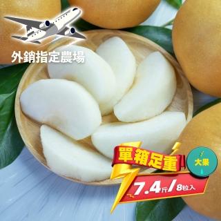 【果樹寶石-中秋禮盒】卓蘭最高鑑賞新興水梨大果一箱7.4斤8顆入(外銷指定農場 媲美日本水梨)