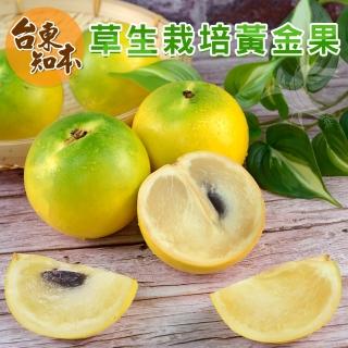 【禾鴻】台東知本草生栽培黃金果4斤5-8顆x2盒(滿滿果膠營養豐富)