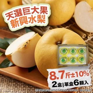 【農村梨小農-中秋禮盒】日本種新興水梨巨無霸8.7斤6顆2盒(優選十大小農 水梨界黑馬)