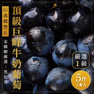 【家購網嚴選-中秋禮盒】黑色會 信義豐丘頂級巨峰牛奶葡萄(5斤x2盒)