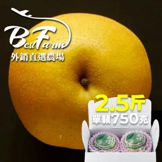 【果樹寶石-中秋禮盒】卓蘭最高鑑賞新興水梨三箱 單箱2.5斤2顆入(外銷指定農場 媲美日本水梨)