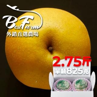 【果樹寶石-中秋禮盒】卓蘭最高鑑賞新興水梨一箱2.75斤2顆入(外銷指定農場 媲美日本水梨)