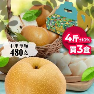 【堅持採收後24小時出貨-中秋禮盒】高海拔中顆新興水梨4斤5顆｜三盒組(堅持採收後24小時出貨)