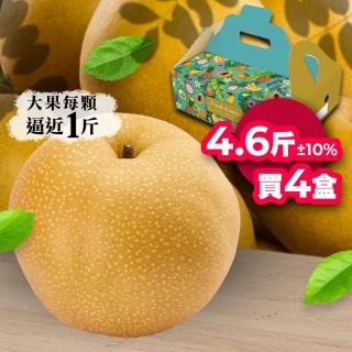 【堅持採收後24小時出貨-中秋禮盒】高海拔大顆新興水梨4.6斤5顆｜四盒組(堅持採收後24小時出貨)
