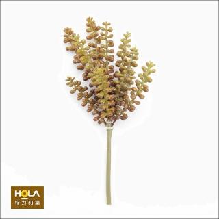 【HOLA】玉串 棕