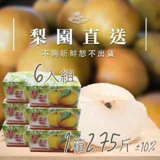 【梨園直送-中秋禮盒】職人栽培寶島天王級新興水梨1箱2.75斤2顆裝共六箱(不夠新鮮不出貨)